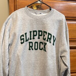 Champion Gray Sweatshirt with Green Print